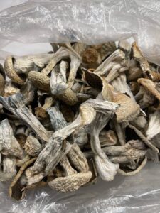 psilocybin mushrooms for sale shrooms for sale