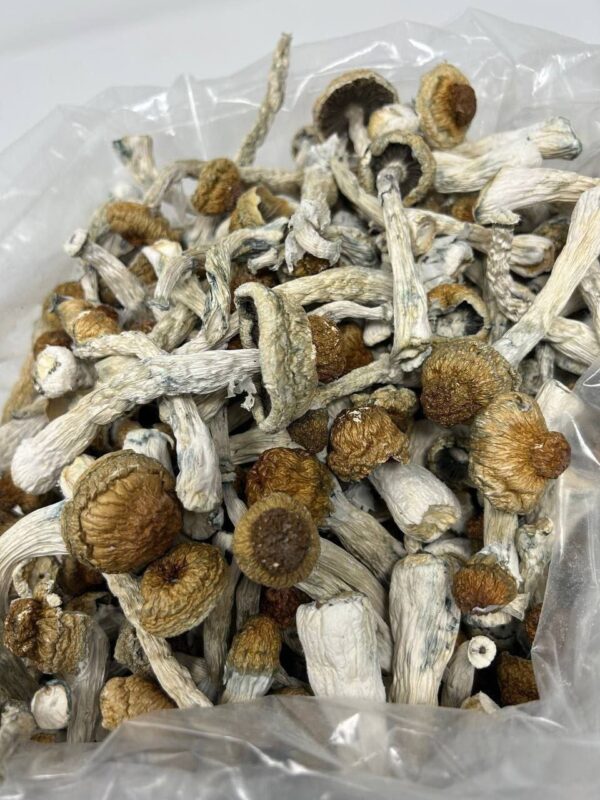 shrooms for sale psilocybin mushrooms for sale