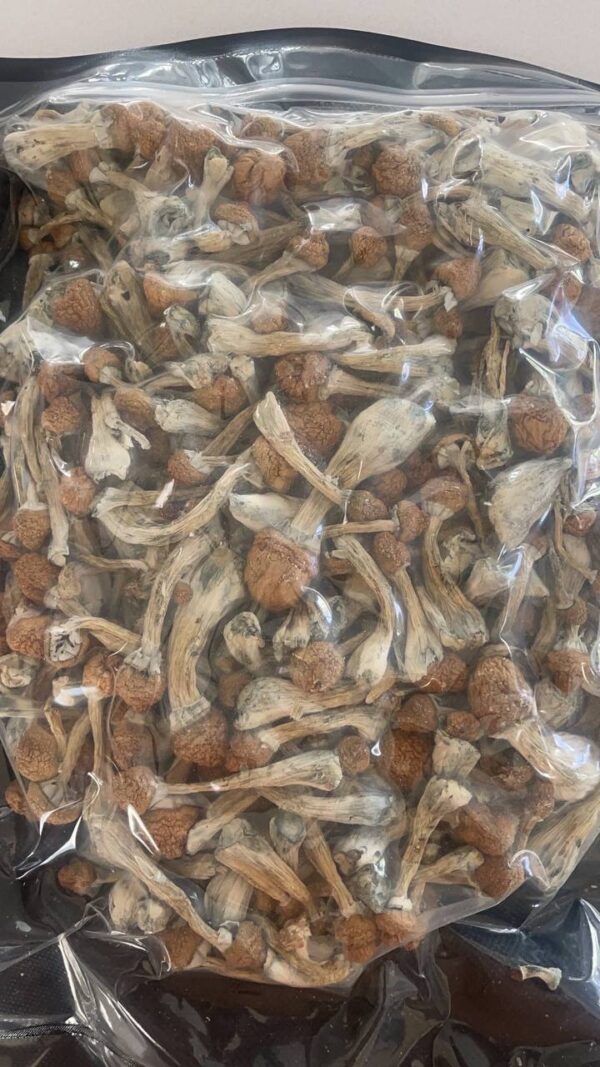 psilocybin mushrooms for sale shrooms for sale