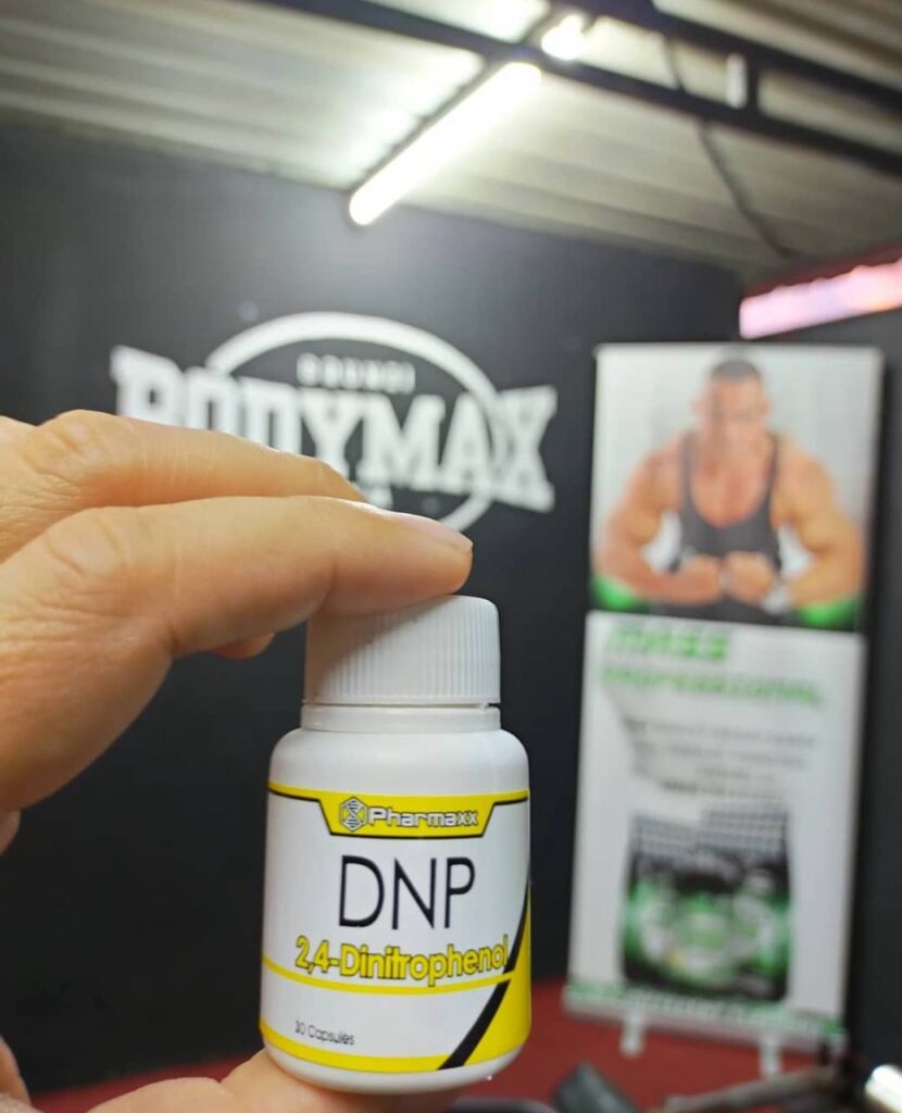 DNP for sale buy 2,4 Dnp online